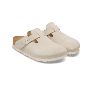 Boston LEVE Oyster 1031623
