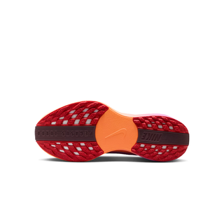 W PEGASUS PLUS WOMEN FQ7261-113